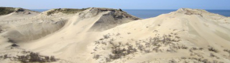 De kracht van stuivende duinen in Zuid-Kennemerland
