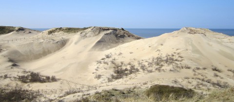 Foto van De kracht van stuivende duinen in Zuid-Kennemerland