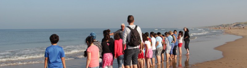 IVN - Strandexcursie Zuidpier IJmuiden