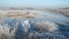 Vogelmeer in de winter- Piet Veel