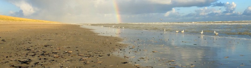 IVN - Strandexcursie Zuidpier IJmuiden