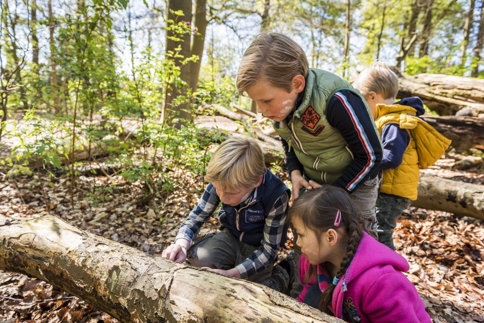 Foto van Duindetective: speuren naar sporen (6+)