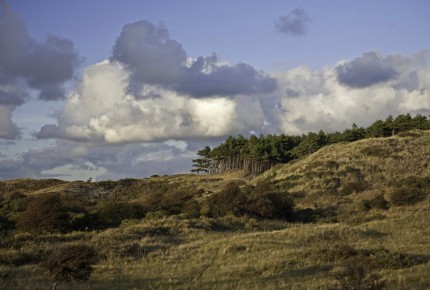 Duurzaam natuurbeheer