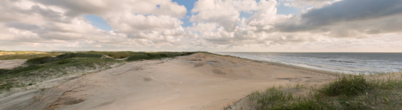 IVN - Strandexcursie Zuidpier IJmuiden 