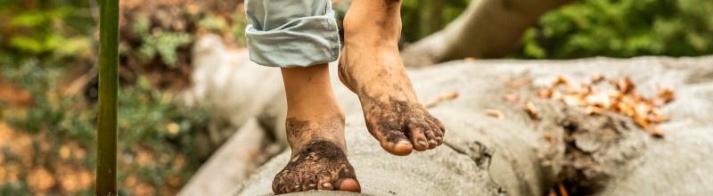 Natuur en gezondheid: blote voetenwandeling