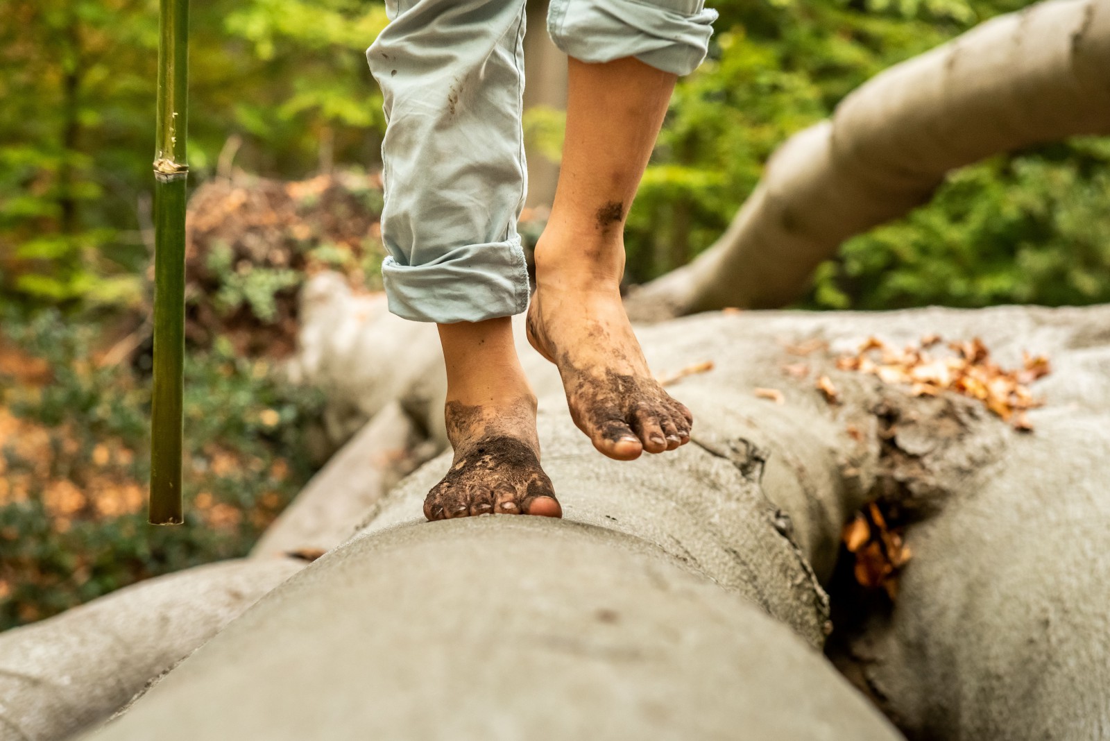 Foto van Natuur en gezondheid: blote voetenwandeling Foto van Natuur en gezondheid: blote voetenwandeling