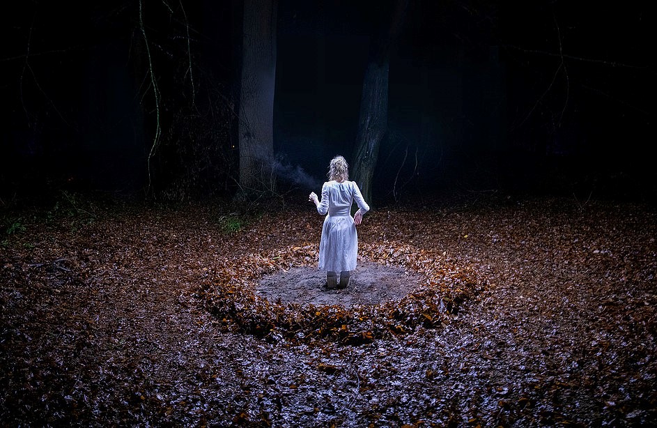 Foto van Woodland – DeJong&DeWitte Foto van Woodland – DeJong&DeWitte