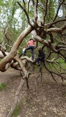 Van winter naar lente: avontuur in de duinen