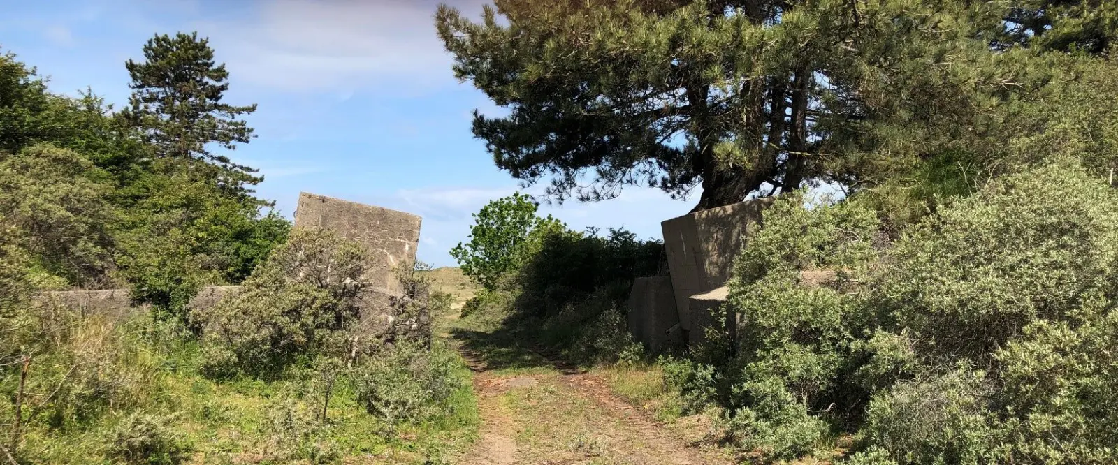 Fietsexcursie "Duinen vertellen oorlogsverhalen"