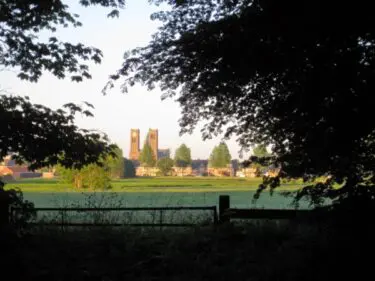 IVN Excursie - Duinvliet, het duinlandschap van Haarlem